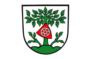 Stadt Buchen