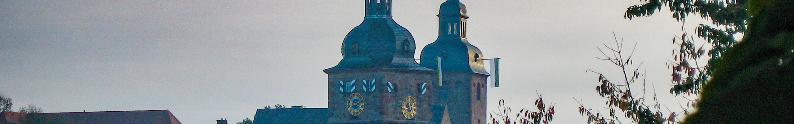 Blick durch herbstliche Blätter auf die Silhouette einer historischen Stadt mit zwei markanten, barocken Zwiebeltürmen unter einem bewölkten Himmel.
